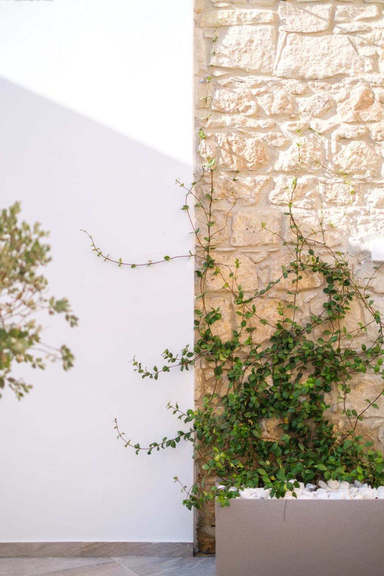 Royal Stay Luxury Homes Paphos Ngoại thất bức ảnh